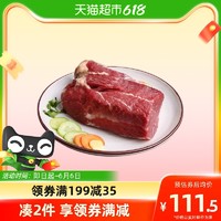 吴琼 生鲜新鲜马肉500g*2冷冻