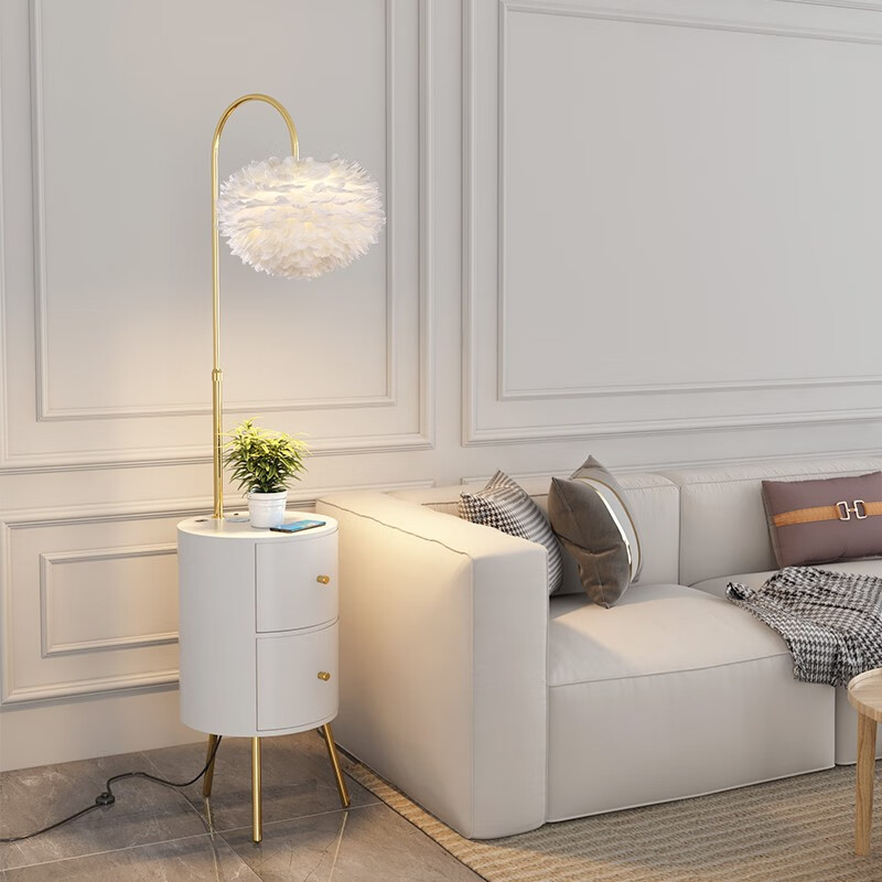 拾光记忆羽毛落地灯北欧网红轻奢客厅卧室床头灯柜一体无线充电立式灯具 羽毛罩白色柜12W三色变光