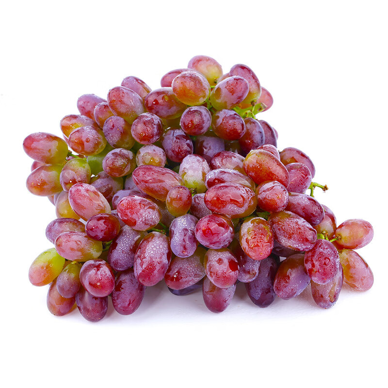 乡语小吖东北茉莉香葡萄 3斤 郁金玫瑰香葡萄红提子 当季新鲜水果生鲜