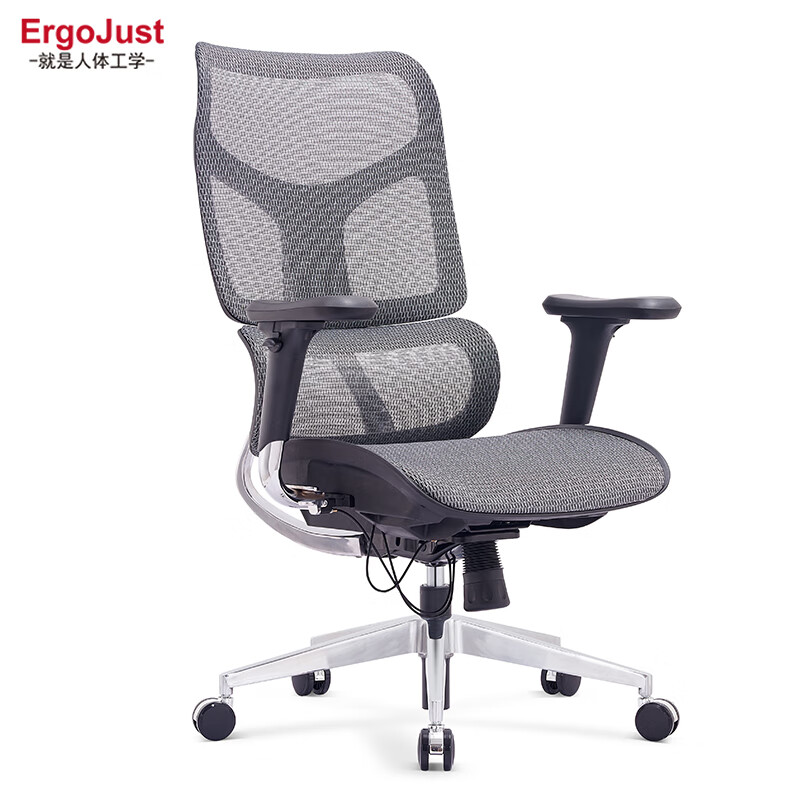 ErgoJust爱高佳精英A8高背人体工学椅电脑网椅久坐舒适学习办公书房座椅 黑（高背进口网）