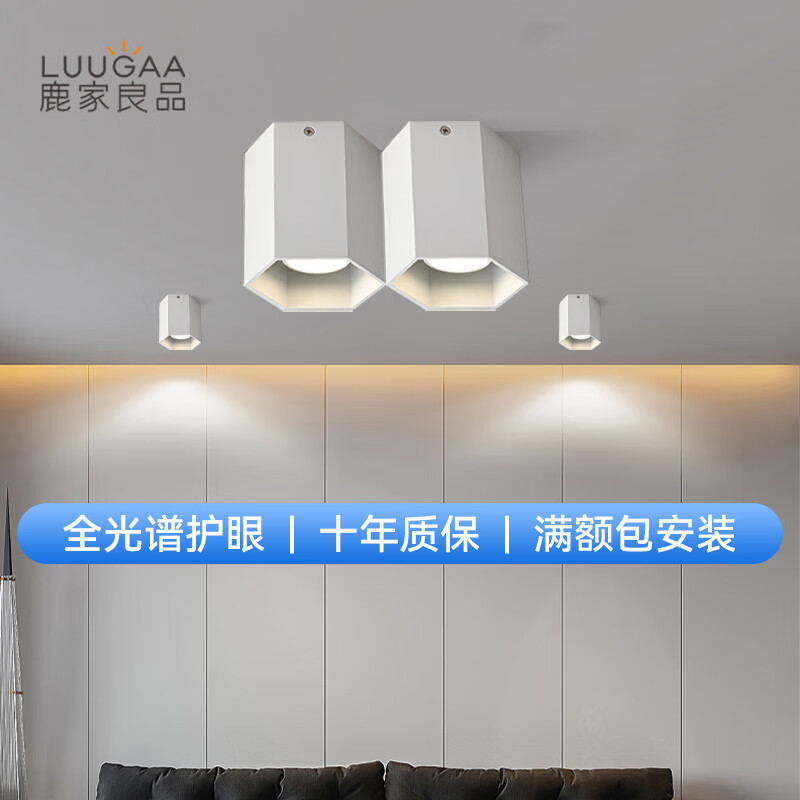 鹿家良品（LUUGAA）无主灯蜂巢斗胆灯极简客厅明装吸顶射灯照明盒子格栅灯护眼灯具 白色2头12w4000k