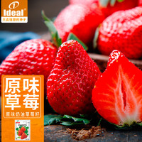 IDEAL理想农业 草莓种子水果四季蔬菜种子原味奶油草莓种子500粒*3袋