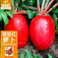 IDEAL理想农业 萝卜种子红萝卜种籽萝卜种子家田园蔬菜种子15g*1袋