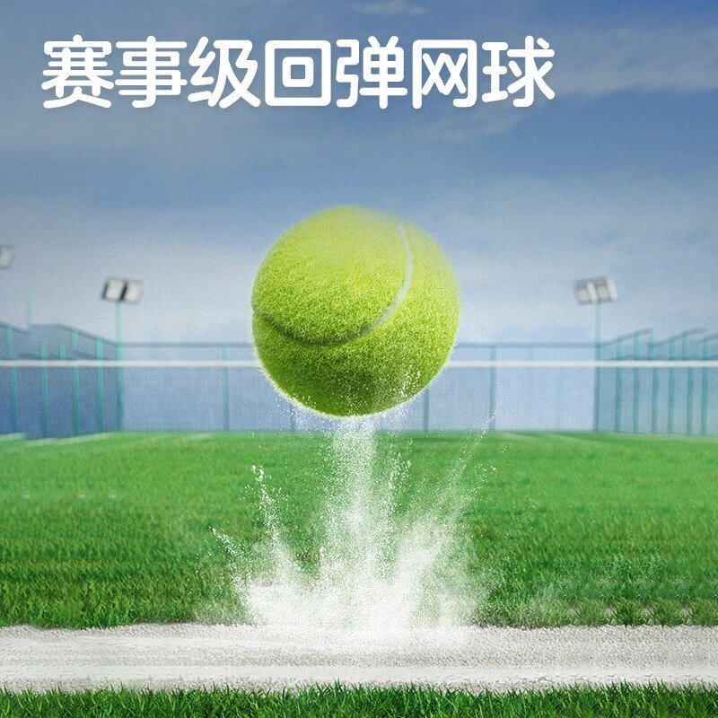 FEIERDUN 飞尔顿 FED双牌网球回弹训练器网球拍单人初学者带线成人大学生儿童通用 回弹球