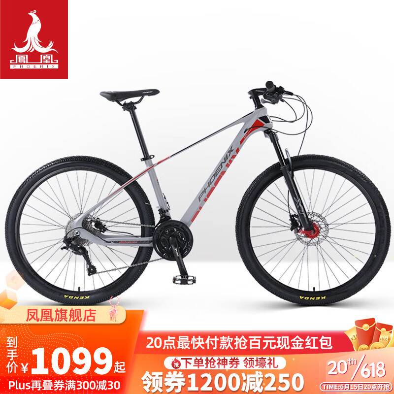 凤凰（Phoenix）山地自行车男女成人镁合金内走线越野车27速蓝图变速竞赛车 游龙 蓝图27速系统/全套轴承 灰红色 26寸