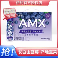 yili 伊利 安慕希AMX長白山 藍莓奶昔風味酸奶230g*10瓶 整箱裝