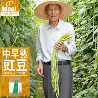 IDEAL理想农业 豇豆种子豆角缸豆蔬菜菜籽长豆角糯米豇种籽200g*1袋
