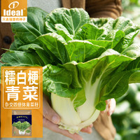 IDEAL理想农业 小白菜种子四季青梗蔬菜易耐热速生快菜20g*1袋