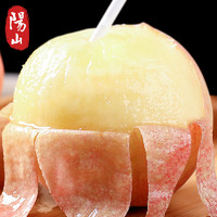 阳山正宗阳山水蜜桃1.8kg 单果200g+ 8个新鲜水果桃子 无锡水蜜桃礼盒