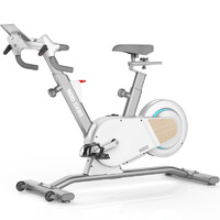 力动（RIDO）动感单车家用小型 智能调阻 自由坡度升降 室内脚踏磁控健身车 CX20月光银