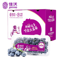JOYVIO 佳沃 蓝莓鲜枝莓14mm+ 3盒礼盒装 约250g/盒 新鲜水果礼盒