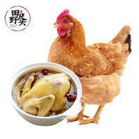 田野尽头 农家散养土鸡1kg 苏北老母鸡整鸡肉 生鲜煲汤月子鸡 溜达走地鸡