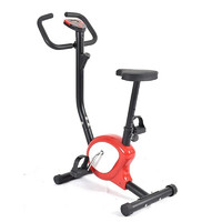 诺予安 动感单车家用健身器材男女小型脚踏车室内运动自行车健身房 普通标准款/红色/坐垫可升降