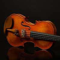 88VIP：Christina 缪斯专业级考级小提琴