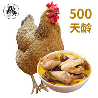 PLUS会员：田野尽头 散养老母鸡1kg 500天苏北农家土鸡肉溜达鸡 生鲜滋补煲汤走地鸡