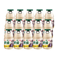 养味风味奶香蕉味甜牛奶220g*15瓶儿童饮料整箱营养早餐网红饮品
