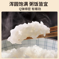 润香粮品 珍珠米大米5kg粳米东北大米圆粒鲜米煮粥饭软糯长粒香米大米10斤