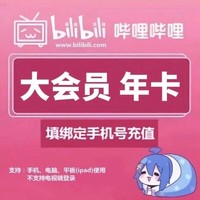 bilibili 嗶哩嗶哩 大會員12個月