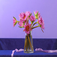 简值了粉色睡莲10枝产地直发生活鲜花室内办公室桌面装饰鲜花