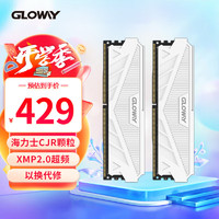 GLOWAY 光威 32GB(16GBx2)套装 DDR4 3600 台式机内存条 天策系列 海力士CJR颗粒