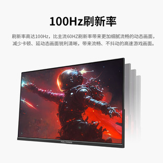 RICRSS 凡卡仕 23.8英寸IPS显示器100Hz HDMI+DP