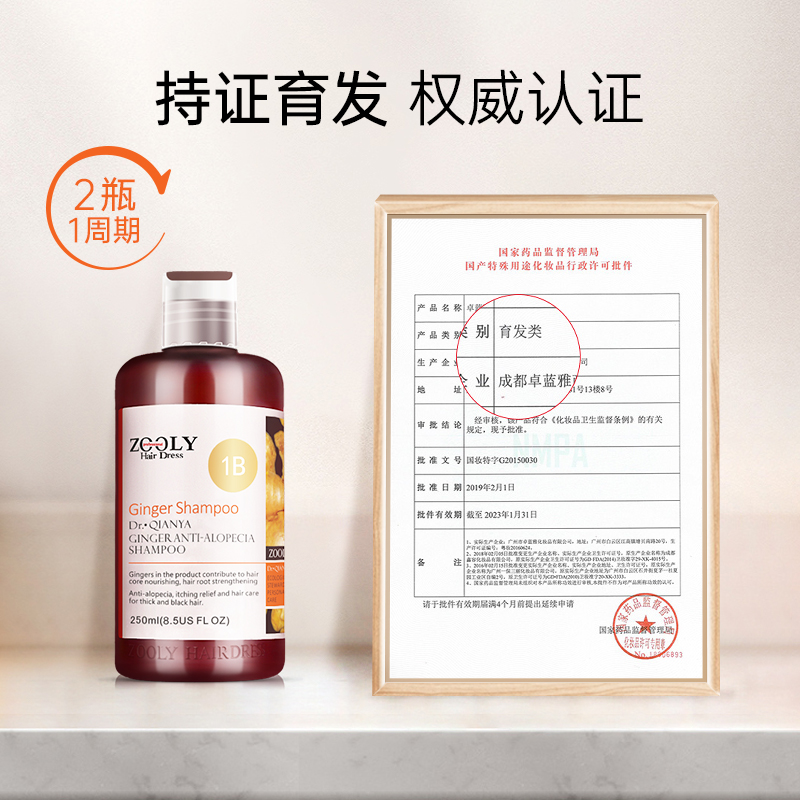 ZOOLY 卓蓝雅 生姜洗发水250ml*2瓶  防脱发无硅油洗发露清爽控油蓬松男女育发护发