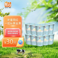 辉山（huishan） 冰淇淋酸奶 冰淇淋风味 风味发酵乳 凝固型 酸奶 低温酸奶 生鲜 160g*10杯