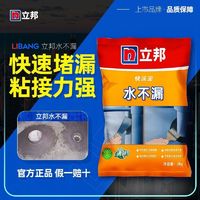 立邦 水不漏堵漏王 1kg