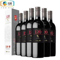 圣丽塔智利红酒 圣丽塔120黑金干红葡萄酒整箱 马尔贝750ML*6支