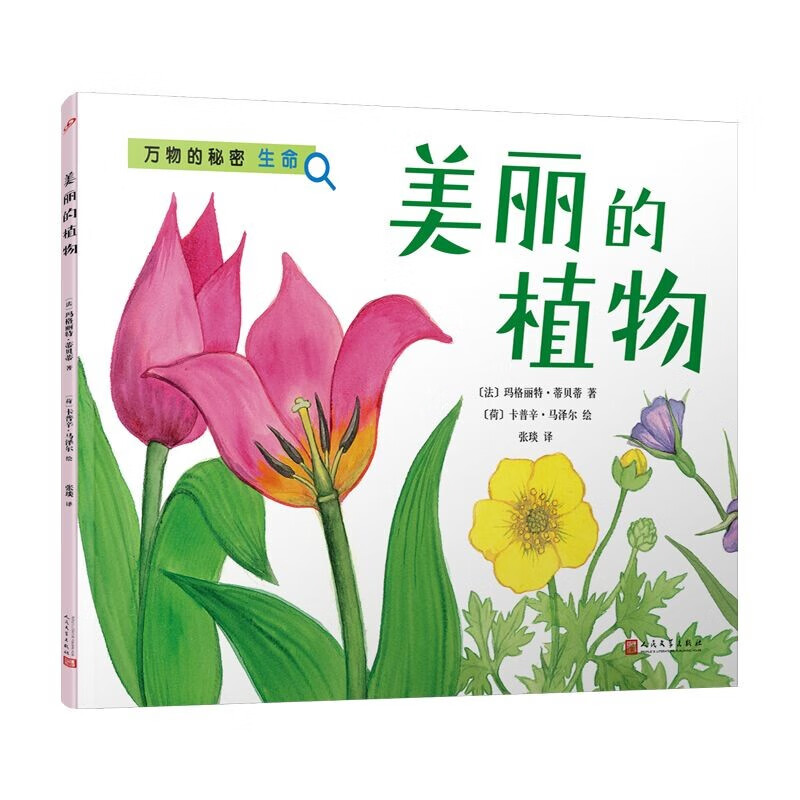 美丽的植物（万物的秘密）（海洋学博士领衔打造，激发孩子对世界万物的好奇心）