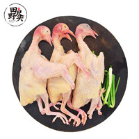 PLUS会员：田野尽头 乳鸽1kg/3只新鲜鸽子肉 生鲜滋补汤品