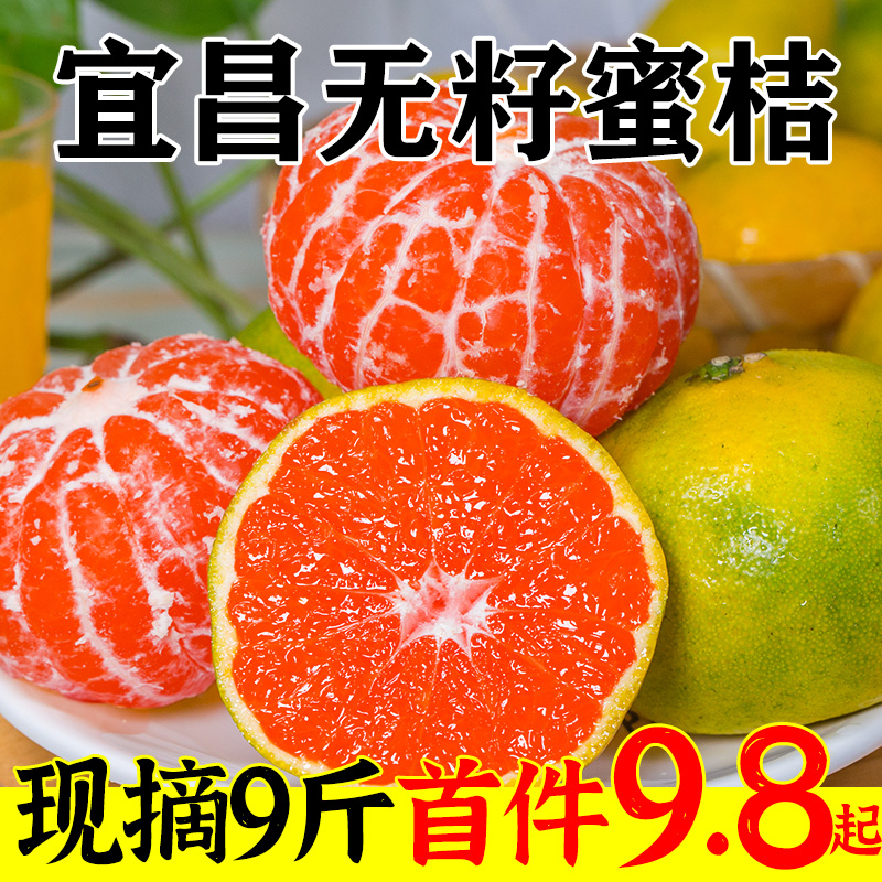 大孚飞跃501飞跃运动鞋女鞋复古经典款帆布鞋初中体考田径鞋（43、501黑色）