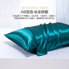 MERCURY 水星家纺 100%桑蚕丝枕面枕套真丝枕罩枕头套（单只装)
