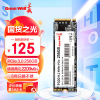 Great Wall 长城 256GB SSD固态硬盘 M.2接口(NVMe协议 PCle 3.0) P300系列 最高可达2800MB/s