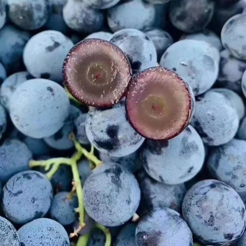 果淳乐新疆篮莓葡萄新鲜无籽酸甜口甜脆水果5斤应季水果 蓝莓葡萄2斤