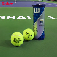 Wilson 威尔胜 官方上海大师赛法网专用比赛级多场地网球配件3只装