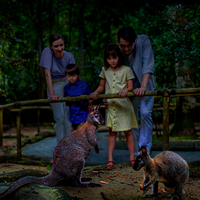 必打卡项目！新加坡夜间野生动物园门票（含园内电车+入园保障）