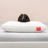 88VIP：南極人 包郵蓬松高彈枕頭護頸椎枕助睡眠酒店家用水洗單人雙人刺繡枕芯