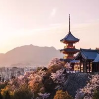 步行可达清水寺/八坂神社！日本京都东山东急酒店 高级好莱坞双床房单/双人入住 1/3晚套餐（可选早餐）