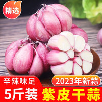中鲜生 云南大蒜2023年紫皮干大蒜头 农家自种新鲜蔬菜 5斤装23年新干蒜
