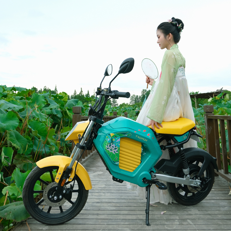 摩兽 电动车Pesgo One 48v20a 荷塘锦鲤国潮电动自行车 新国标电动自行车