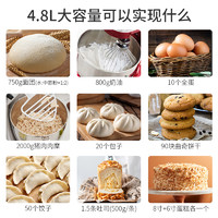 kitchenaid凯膳怡厨师机家用和面机揉面机商用鲜奶机奶油机