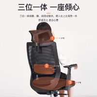 功牌T31人体工学椅 舒适办公座椅电脑椅电竞椅书房家用靠背椅子