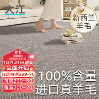 大江 地毯客厅轻奢高级感羊毛大面积免洗易打理沙发地毯卧室床边毯 欧德-云雾灰 200x140cm