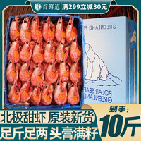 首鲜道 北极虾甜虾新鲜北极熊冰虾头膏腹籽化冻即食刺身大虾海鲜水产鲜活
