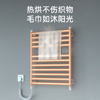AVONFLOW 艾芬达 电热毛巾架家用免打孔智能卫生间加热烘干浴室置物架子GD19