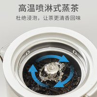 心想喷淋养生壶家用多功能煮茶器办公室mini煮茶壶小型恒温烧水壶