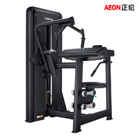 AEON 美国正伦 正伦CS-809 三头肌伸展训练器训练器材健身房力量训练器