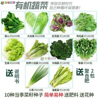 静候花开10种蔬菜种子 香葱小白菜生菜香菜心阳台盆栽菜种籽孑秋冬四季 10包蔬菜种子+肥2包