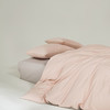 AIDLI 100支純棉四件套新疆棉純棉被套床單枕套 高支高密床上用品 愛麗絲粉 200*230cm床單四件套